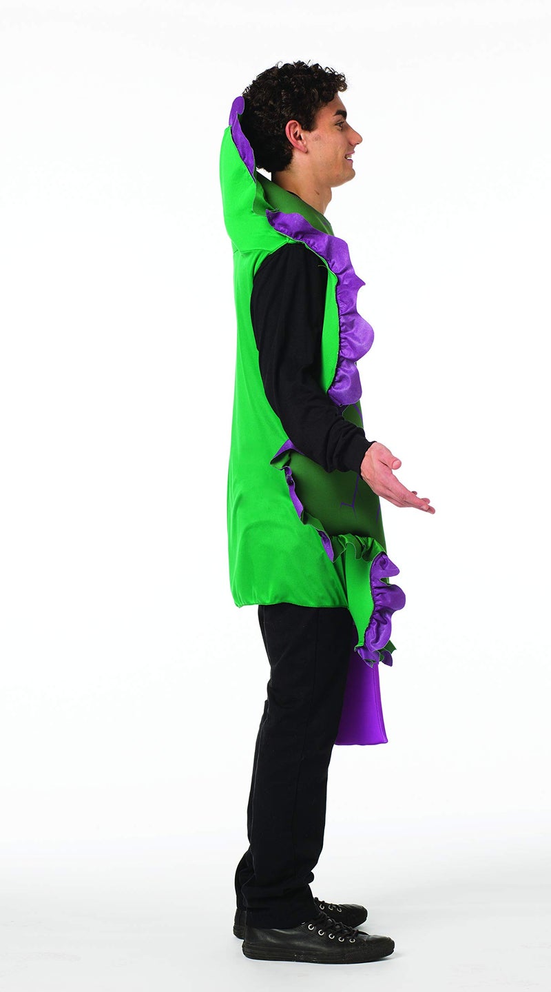 Rasta Imposta Kale Lettuce Costume Mens Womens Fruit Vegetable Funny Food Outfit Green, Purple - Image 3